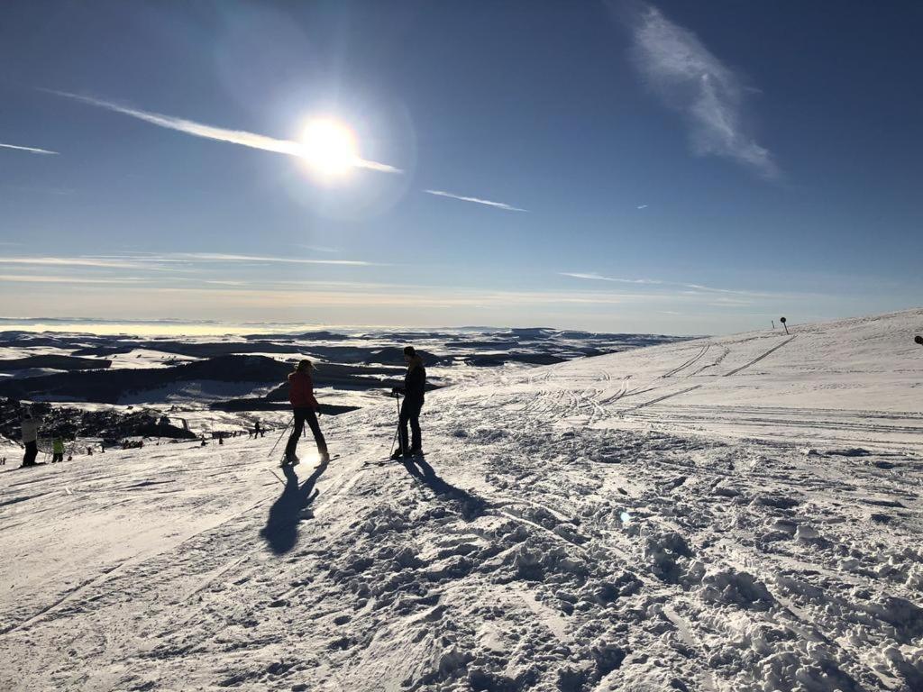 Residence Le Mont Dore 2 Etoiles Zewnętrze zdjęcie